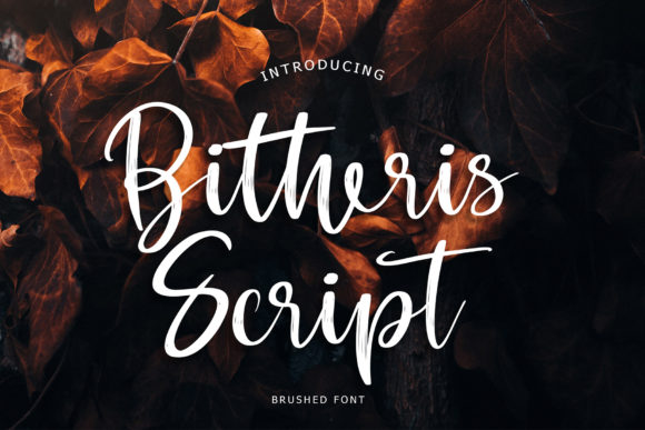 Bitheris Font Review