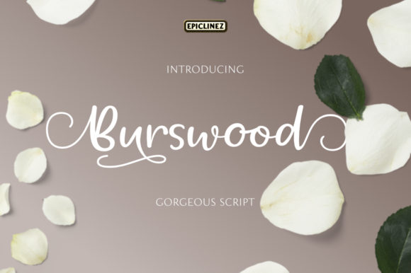 Burswood: A Premium Script Font for Creative Campaigns