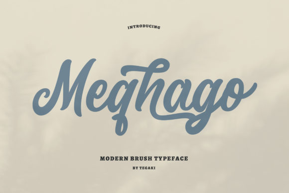 Meqhago: A Stylish Font for Business Growth
