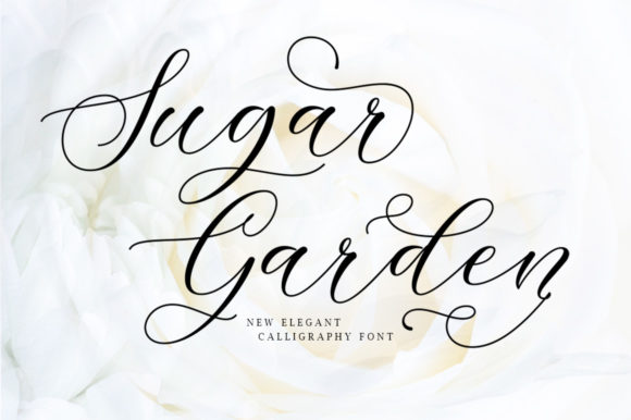 Sugar Garden Font: Elegant Script for Web Design